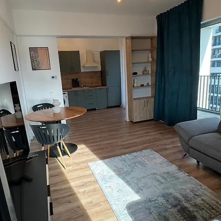 Loft Coresi Mall 公寓 *