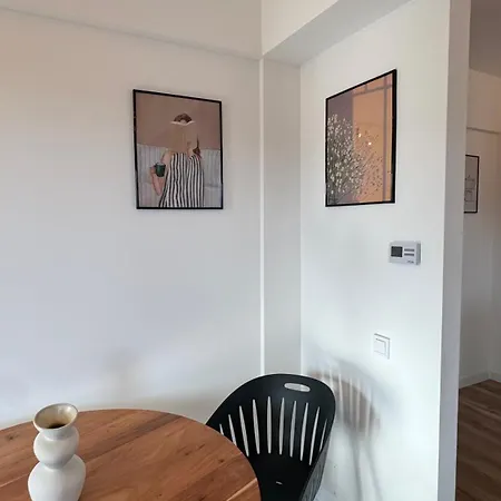 Loft Coresi Mall 公寓 *