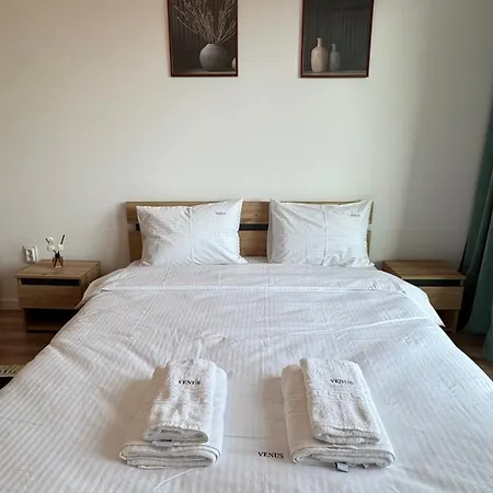 公寓 Loft Coresi Mall *