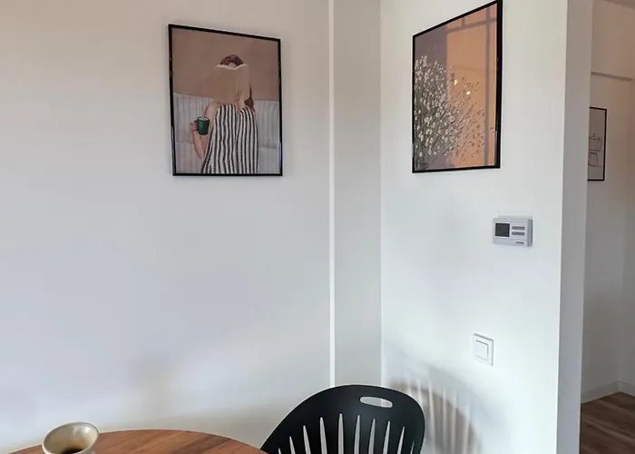 Loft Coresi Mall 公寓 *