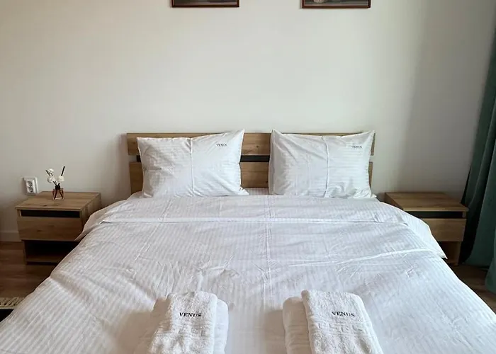 公寓 Loft Coresi Mall *