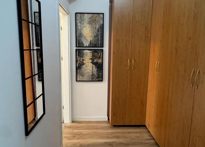 Loft Coresi Mall شقة براشوف