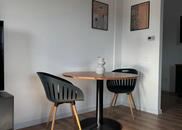 公寓 Loft Coresi Mall