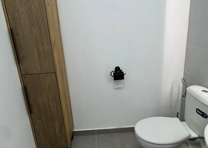 Loft Coresi Mall 公寓 *