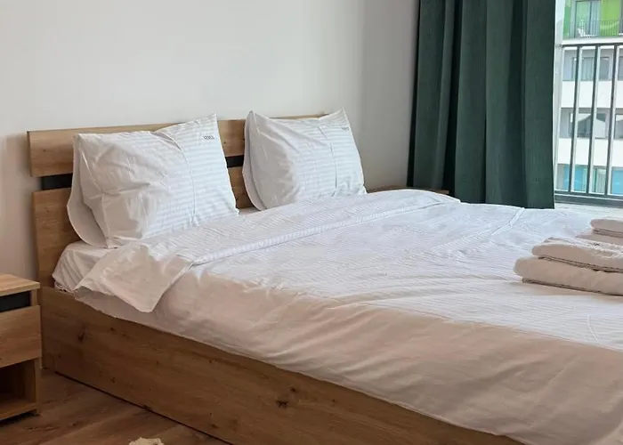 Loft Coresi Mall 公寓 布拉索夫